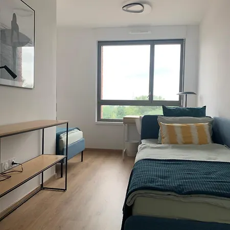 Au Coeur De L'europe, Grand Standing Apartment Straßburg